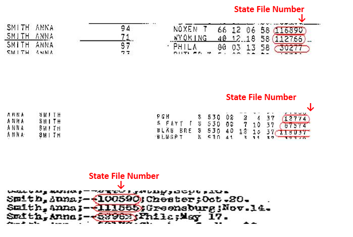 State File Number
