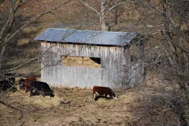 026 hay barn, Greene County.jpg